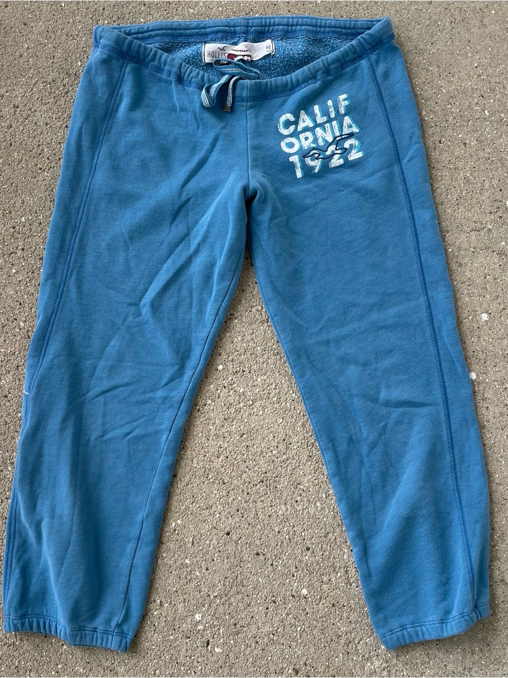 Vintage Y2K Hollister Sweatpants Low Rise Wide Leg Blue Womens M Butt Spellout